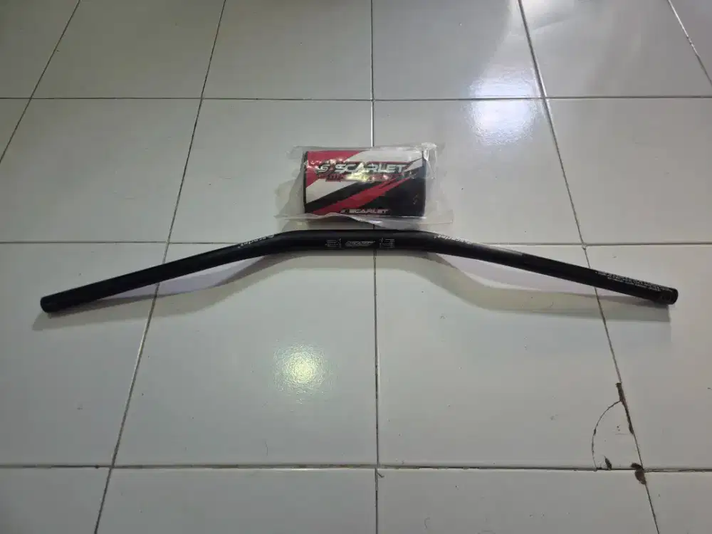 Setang Fatbar Scarlet