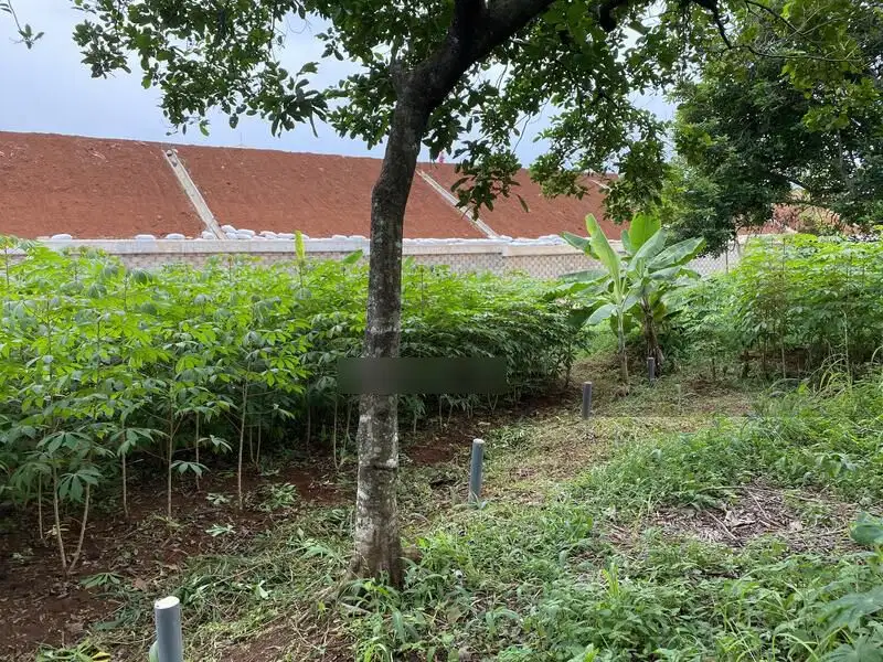 Dijual Tanah Jl. Gerogol Seberang