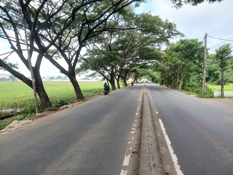 Tanah Stategis Cocok Untuk Pergudangan Atau Kantor Di Neglasari
