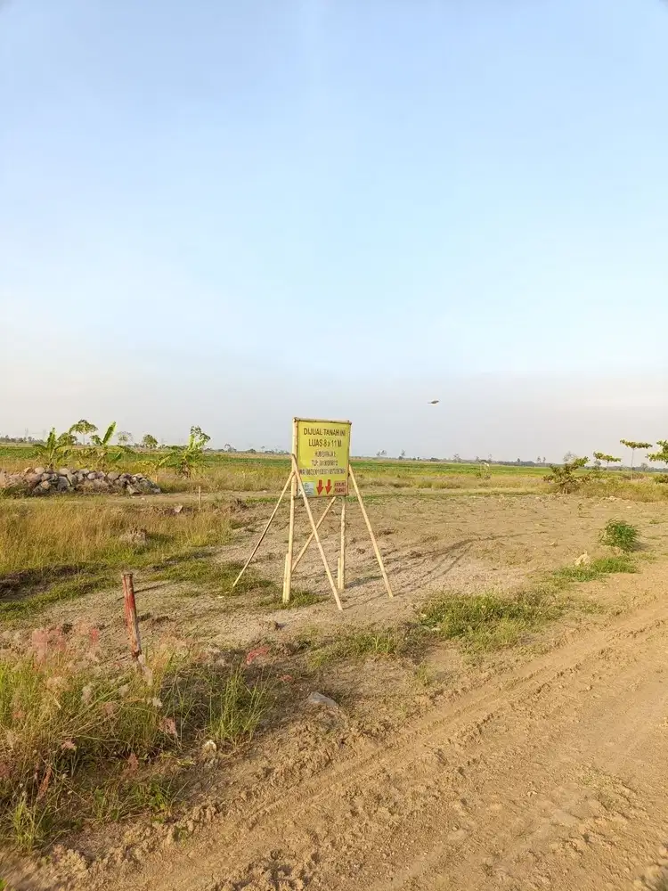 Tanah Kavling Dekat PT Jia Wei Di Desa Padakaton Ketanggungan Brebes