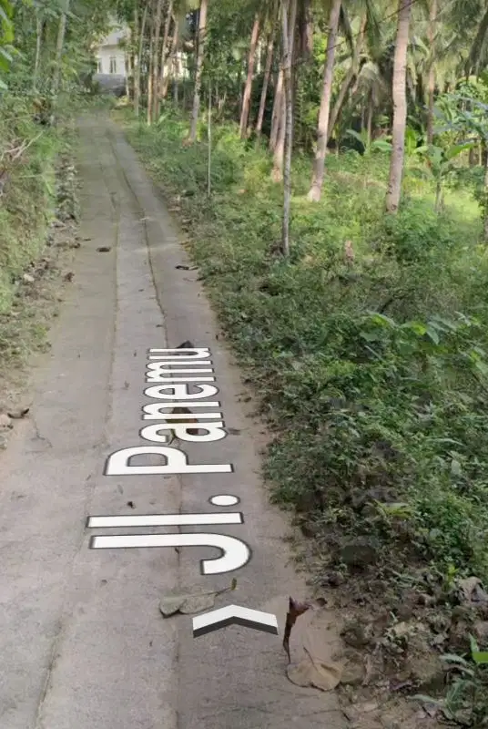 Tanah Dijual 1,8 Hektar dekat Polres Kulon Progo