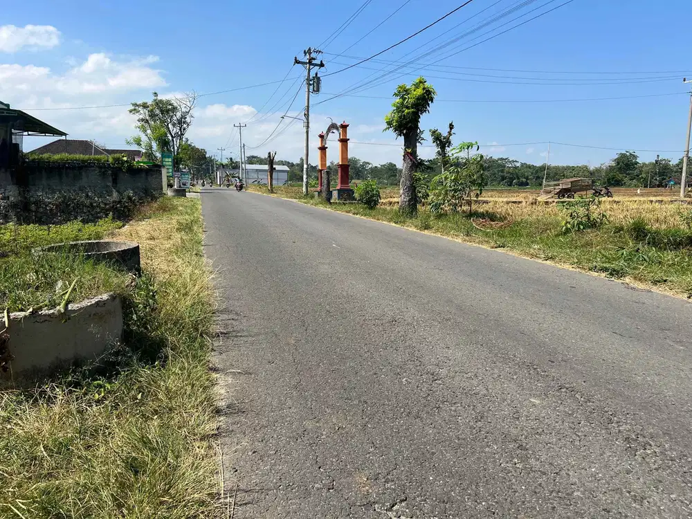 Dijual Tanah Sawah 700m 175Jt Kerjo Karanganyar