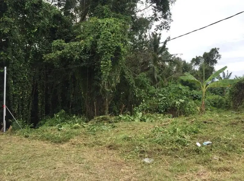 Lahan Bagus Diatas Tebing Dengan Pemandangan Indah