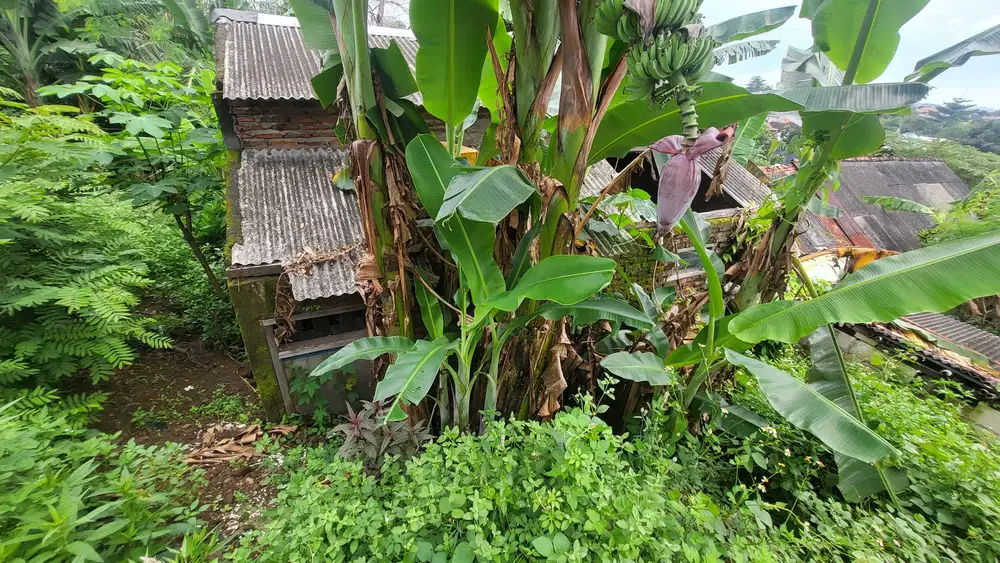 JUAL CEPAT Tanah Plus Bangunan di Sendangguwo