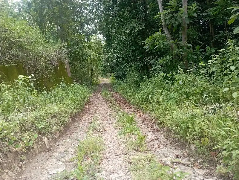 Tanah Dijual Bonus pondasi di Cerme panjatan