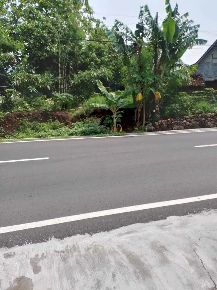 Tanah Strategis 223m Pinggir Jalan Raya Kedawung Sragen