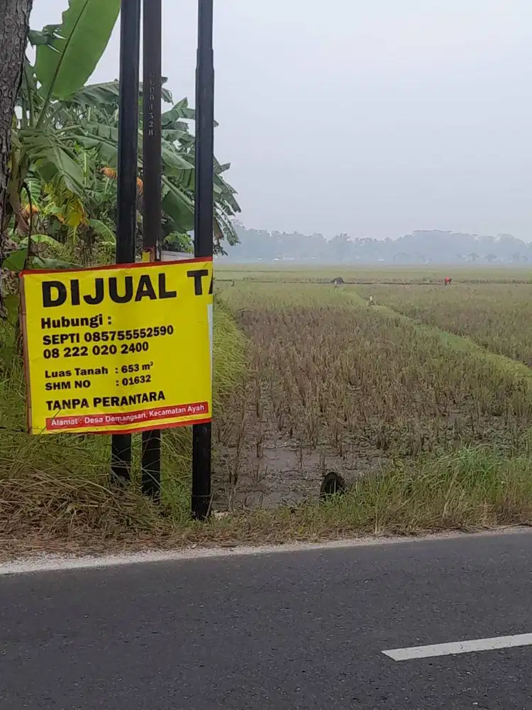 Sawah Produktif Tepi Jalan Raya