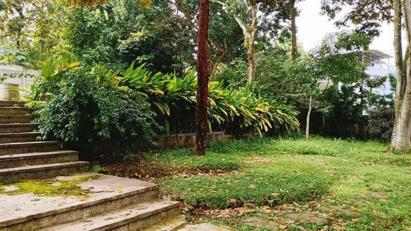 Tanah dan bangunan cihideung Cijeruk Bogor dekat 5G resort