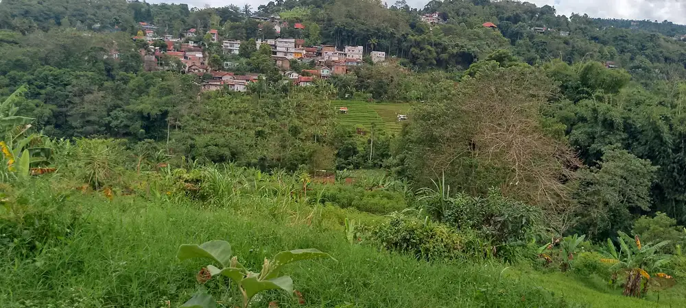 Jual tanah kebun + gudang,luas tanah 2,5ha sindanglaya