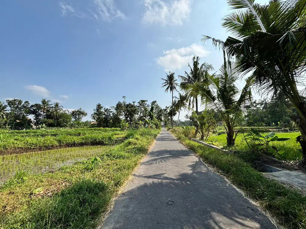 Dijual tanah shm di timur lapangan grogolan