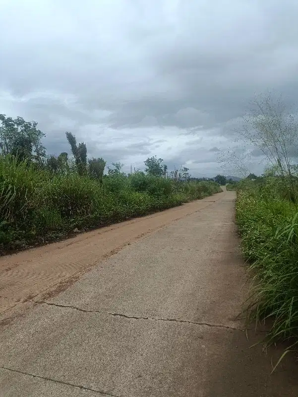 tanah kerja sama oke banget