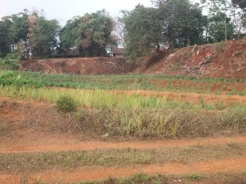 tanah datar di Ciseeng cocok untuk perumahan