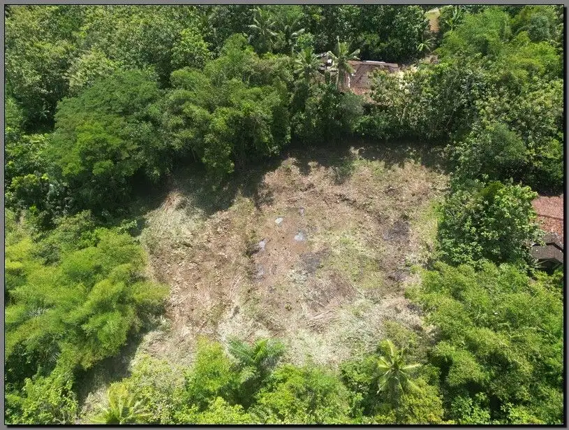 Kavling 100 Jtan di Moyudan Sleman, Mobil papasan. SHM Pekarangan