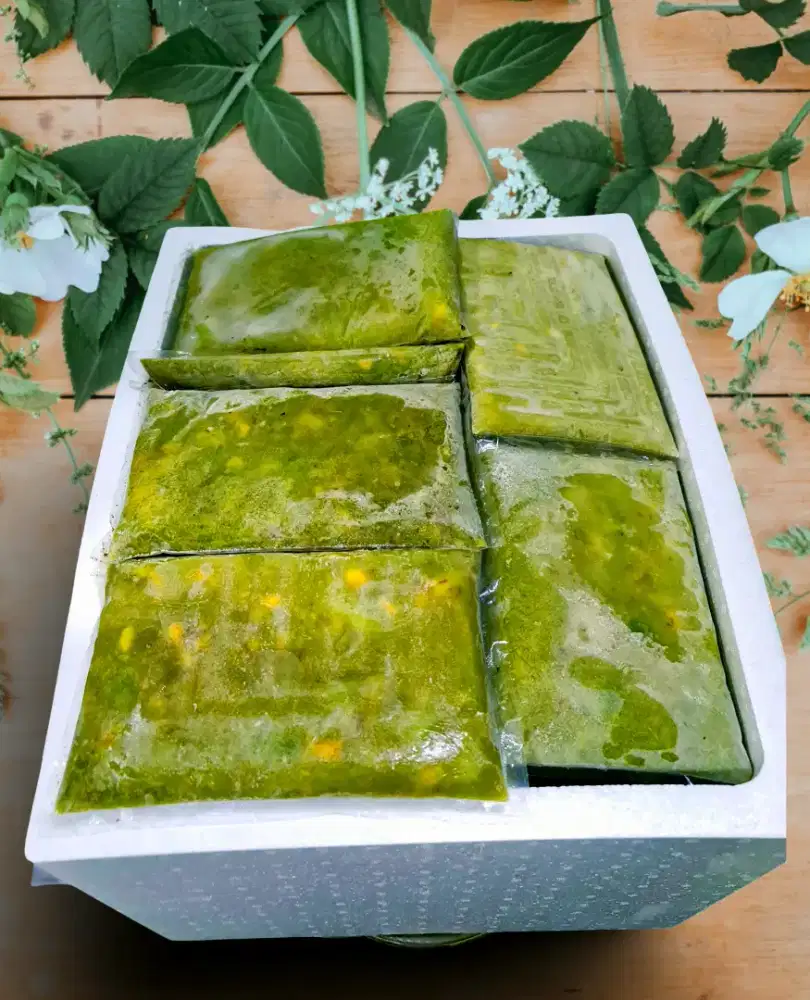 Ready buah frozen segar kualitas eksport Melayani pengiriman