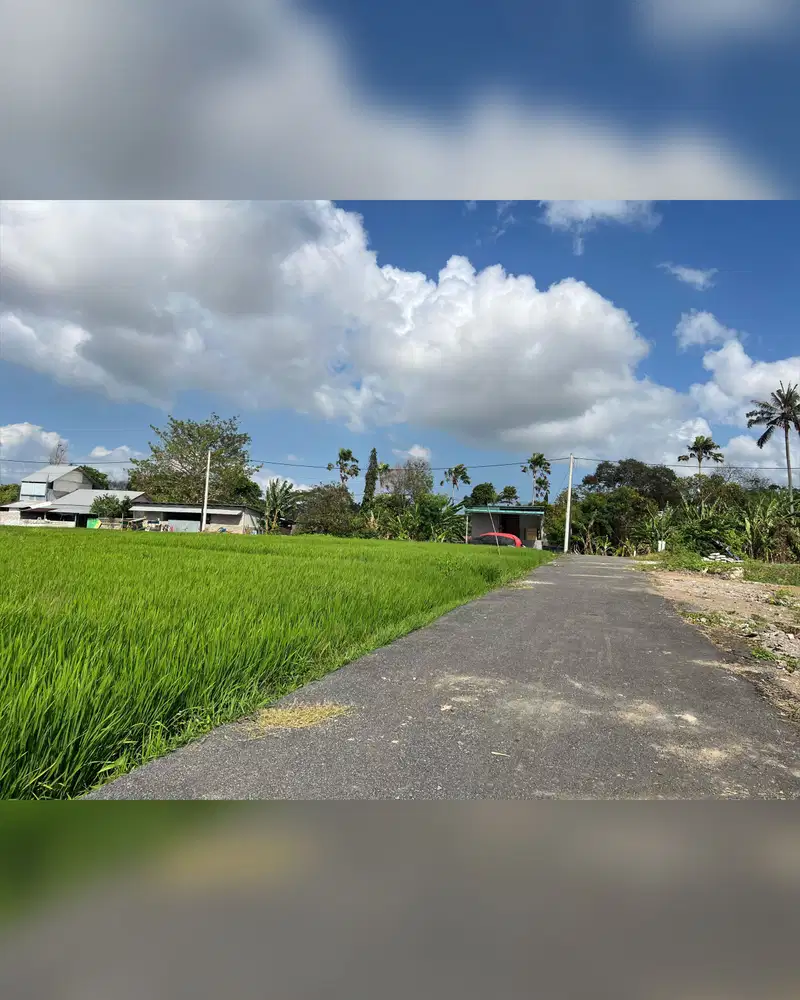 Tanah kavling 565m2 kerobokan view sawah dan Dekat Beach Club