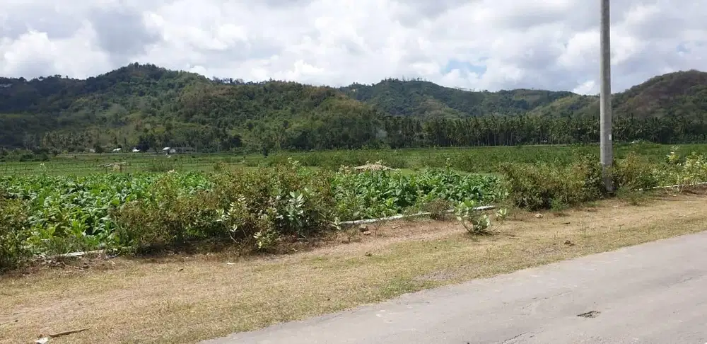 Tanah MURAH dekat Pantai Selong Belanak – Lombok
