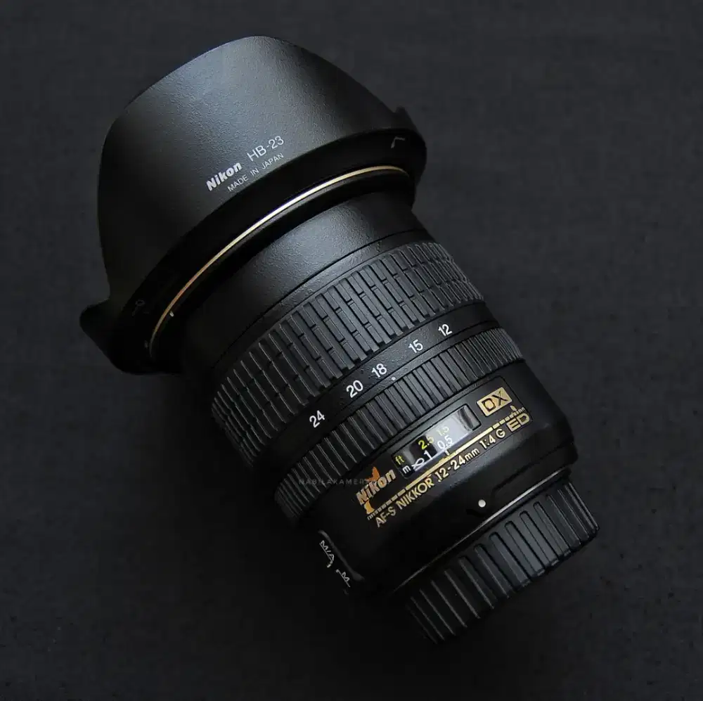 LENSA WIDE NIKON AFS 12-24MM F4 DX