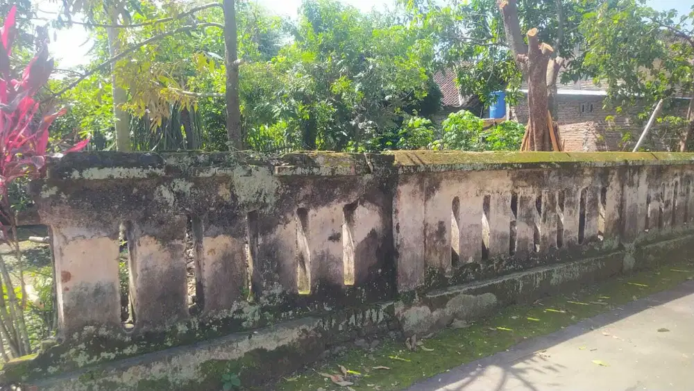 Dijual Cepat tanah 180 meter murah di Klaten