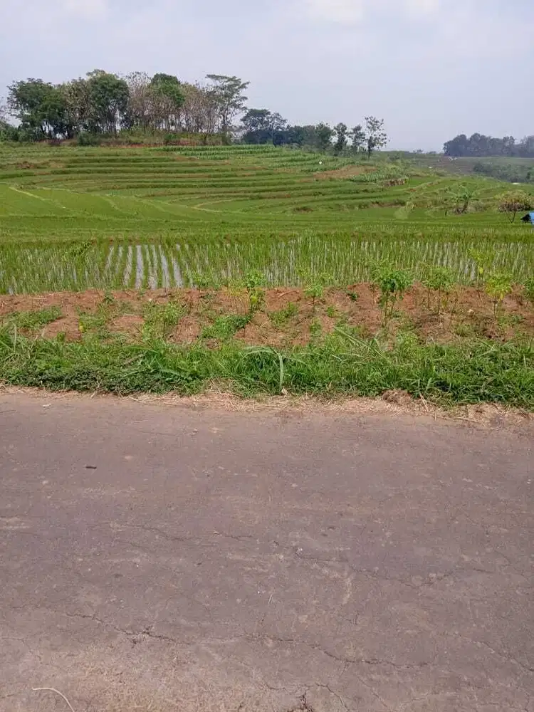 Tanah Datar 3416m View Solo Raya Kerjo, Karanganyar