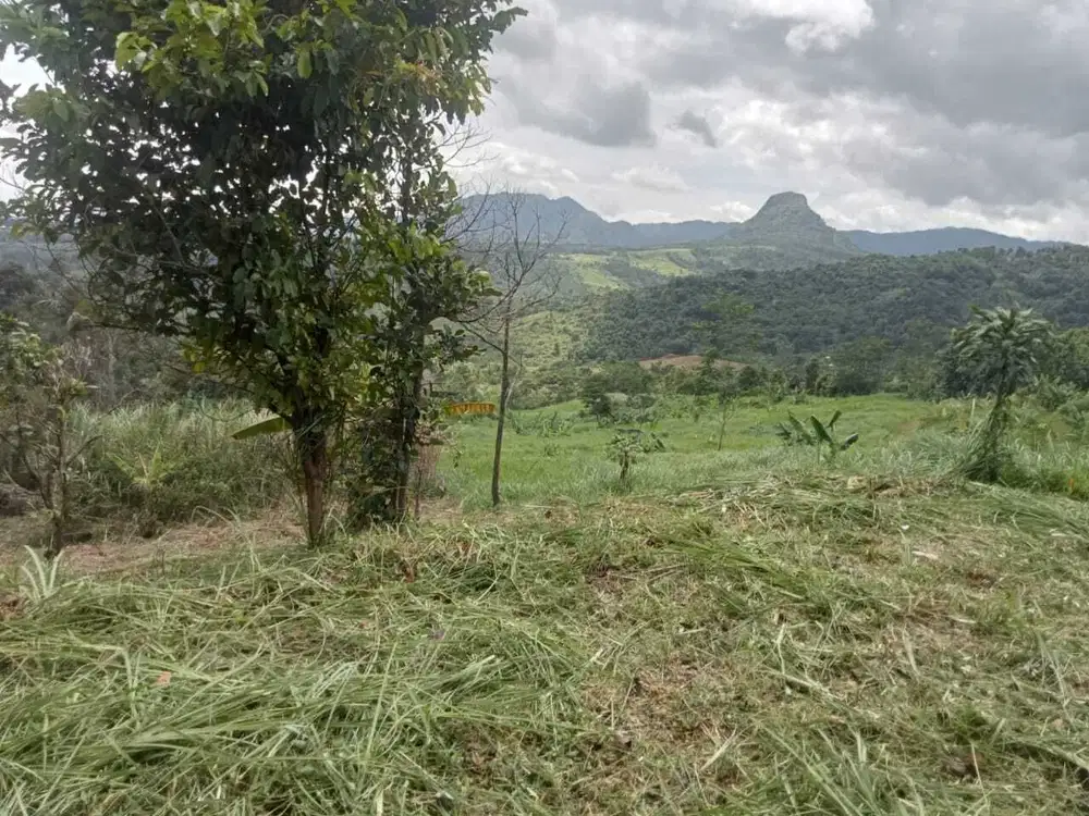 Dijual Tanah Zonasi Kuning View Pegunungan Di Jonggol