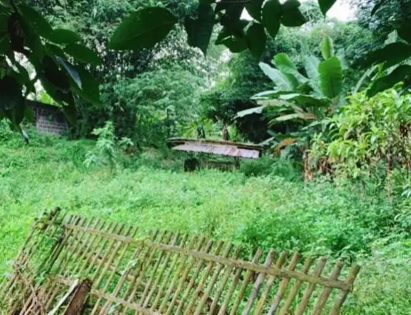 tanah kavling dan workshop 2 ha dekat alun alun tigaraksa tangerang