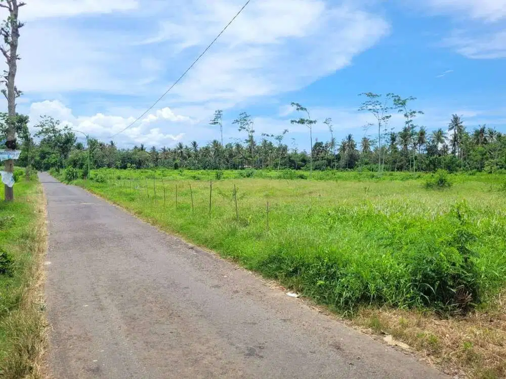 Tanah Bulusan Kalipuro 28.330 m2 dekat Ketapang Indah Hotel