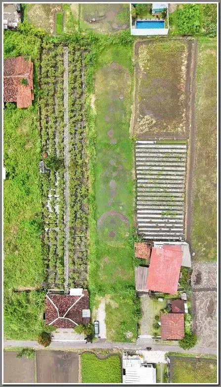 Sinduharjo Jogja, Jalan Damai, 100 ke jalan Kapt Haryadi Jakal  Km 10