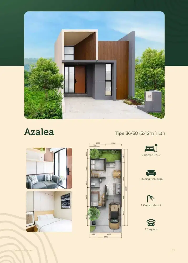 Hunian Modern Terranea Homes Goldland – Tipe Azalea 36/60 (5x12m)