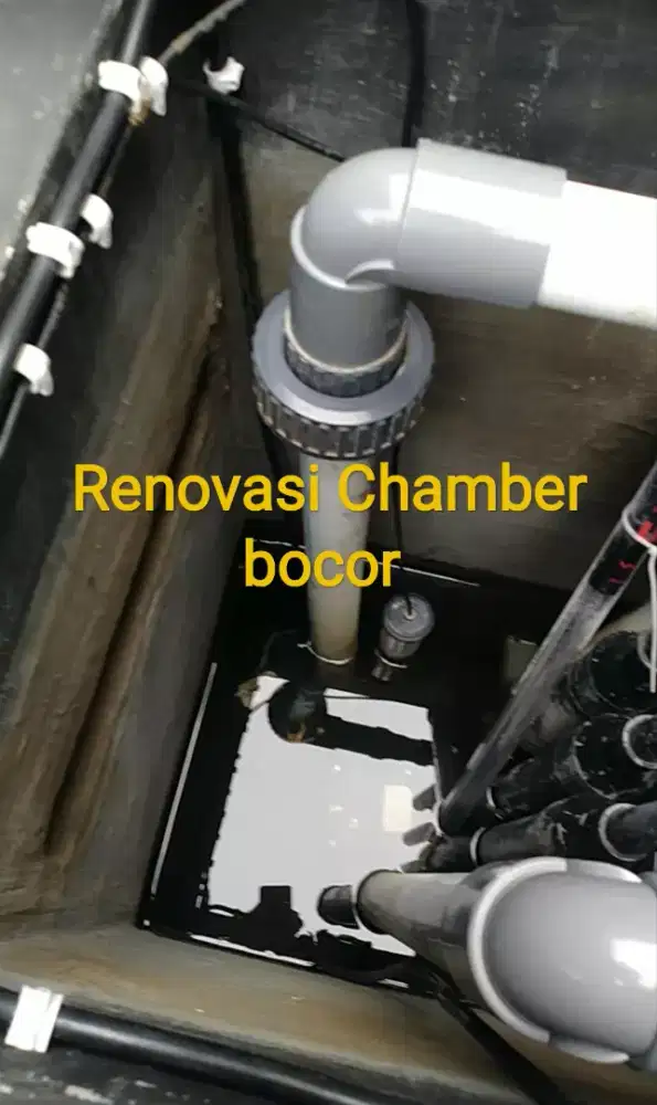 Jasa renovasi kolam ikan koi