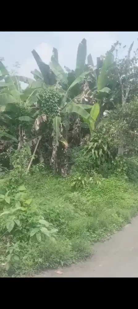 Tanah SHM pekarangan murah di pakem Sleman hanya 175 juta saja