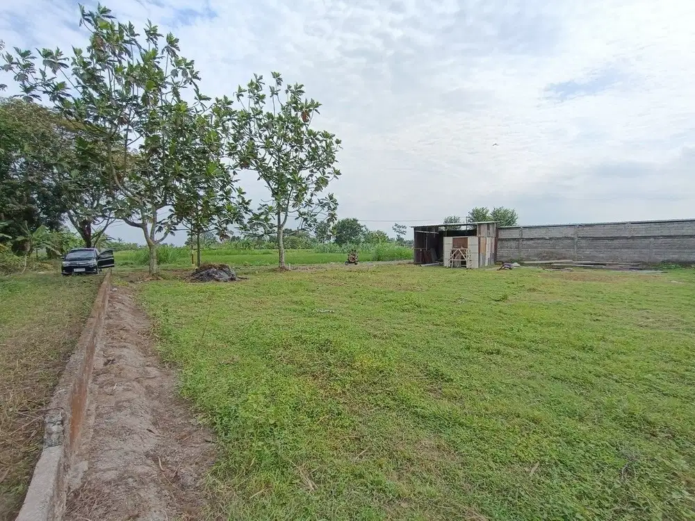 Barat Hartono Mall, Tanah Strategis Jogja Palagan