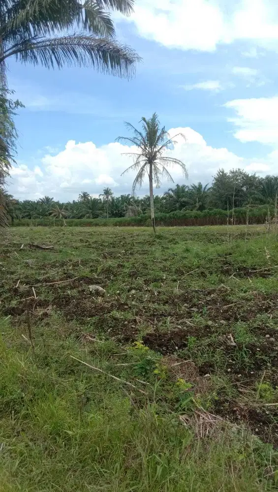 Dijual tanah Mencirim Medan 500 meter ke dalam