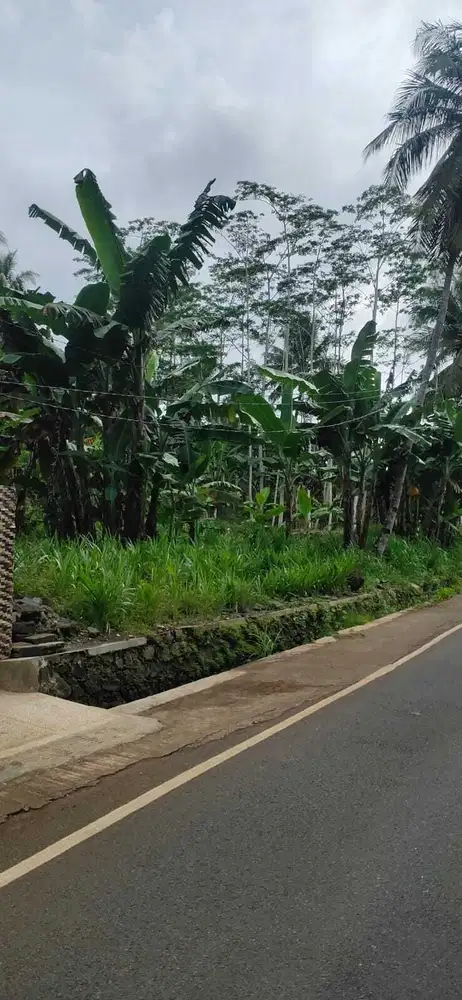 Dijual tanah murah poros aspal Sumbermanjing Malang Selatan BU