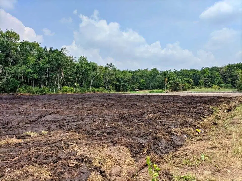 Tanah Tanjung Nangko