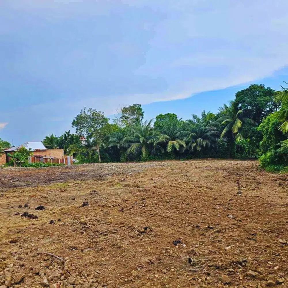 Tanah Dekat Akbid Bunda