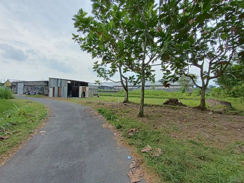 Akses GAMPANG, Tanah View Merapi, Jogja Jalan Palagan