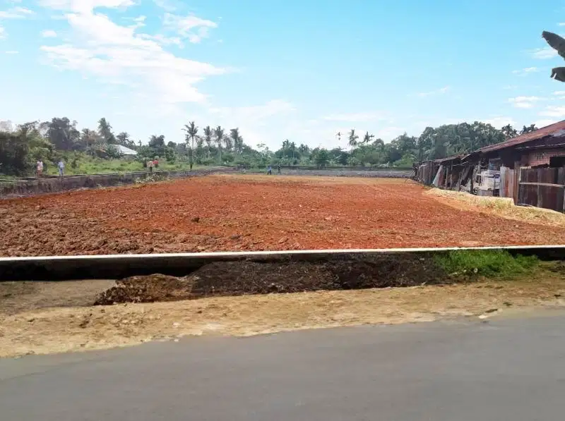 Dekat Xaverius Beringin