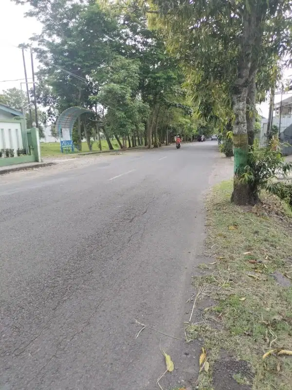 Tanah Dijual Tepi jl Mandung dekat kampus UNY wates
