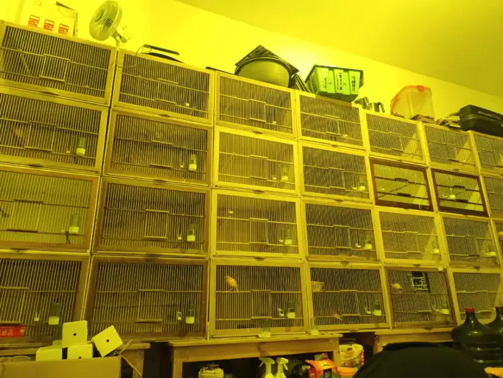 Kandang ternak burung