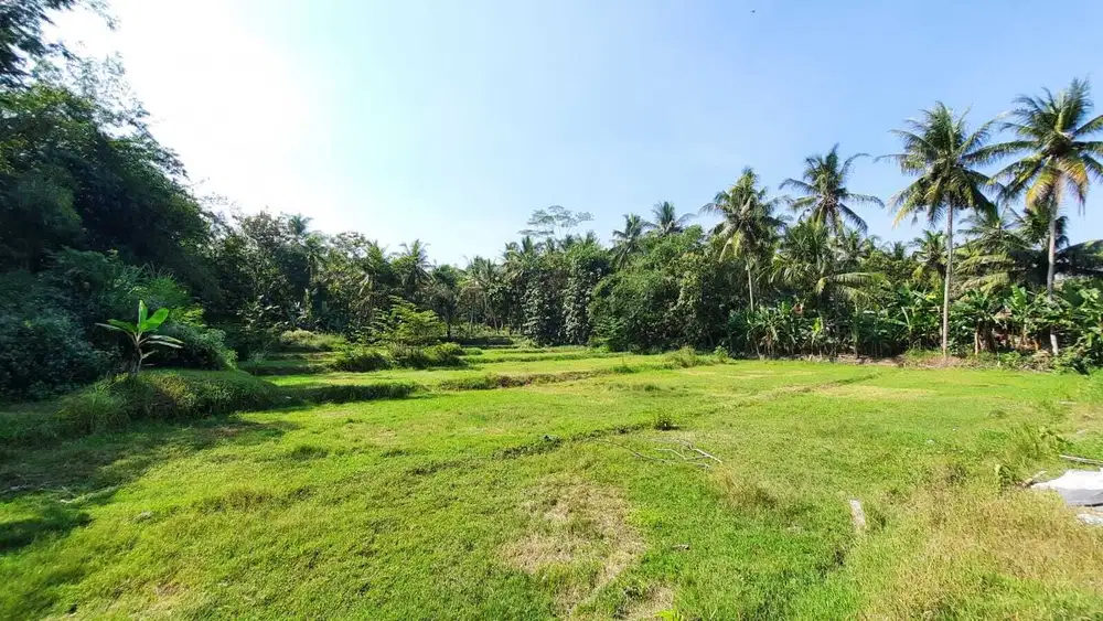 UNDER 1 Juta, Murah Tanah Nanggulan Jogja, SHMP AMAN