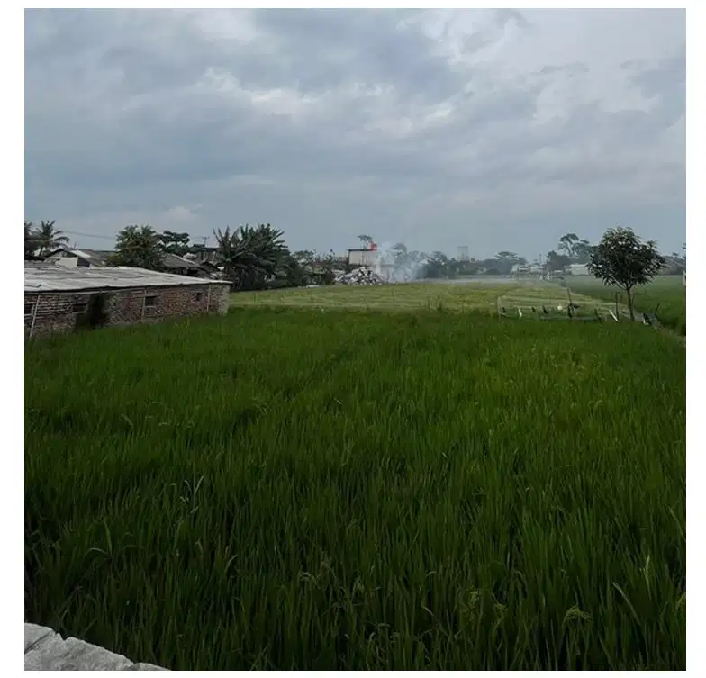 Lahan Strategis 3,1 Ha Bojongmalaka Dekat Tol & Telkom Univ