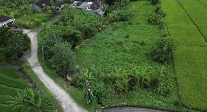 Lahan Perumahan Di Kedungu Tanah Lot