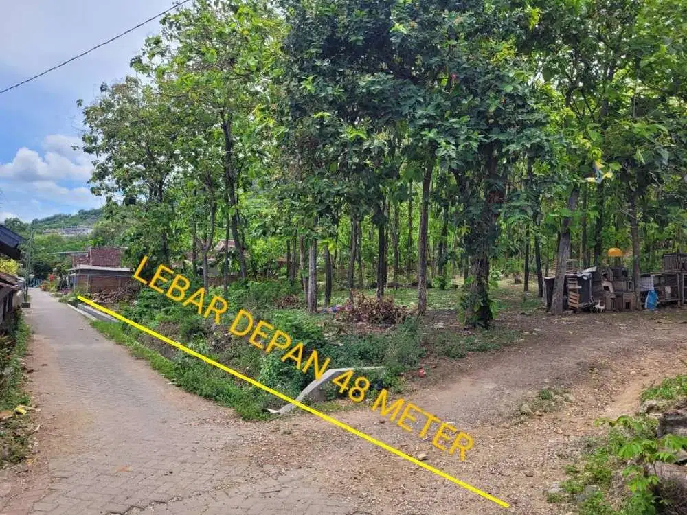 Tanah Ketapang Kalipuro depan Semen Gresik Packing