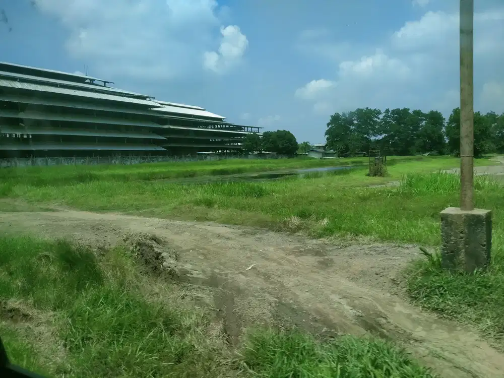 Pabrik Karet Aktif Palembang Sumsel Murah Rubber