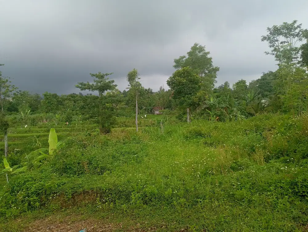 Tanah pekarangan strategis di kawasan sejuk dan asri Prigen