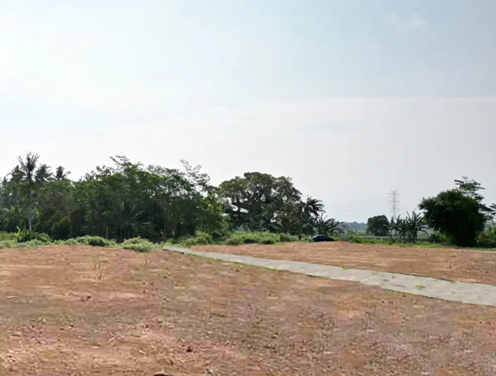 Tanah LUAS Purworejo, Dekat Candi Borobudur, SIAP AJB