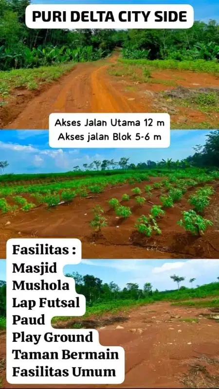 rumah murah di batang