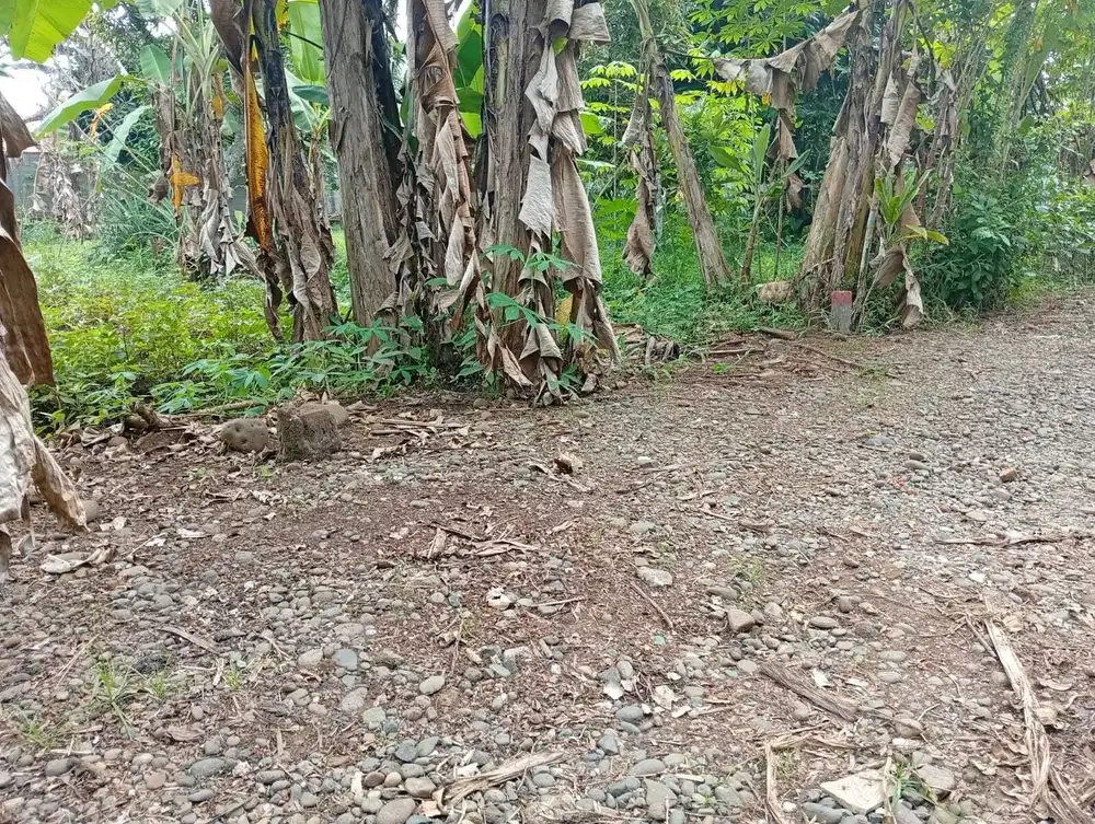 Jual beli tanah murah di purbalingga, yang aman