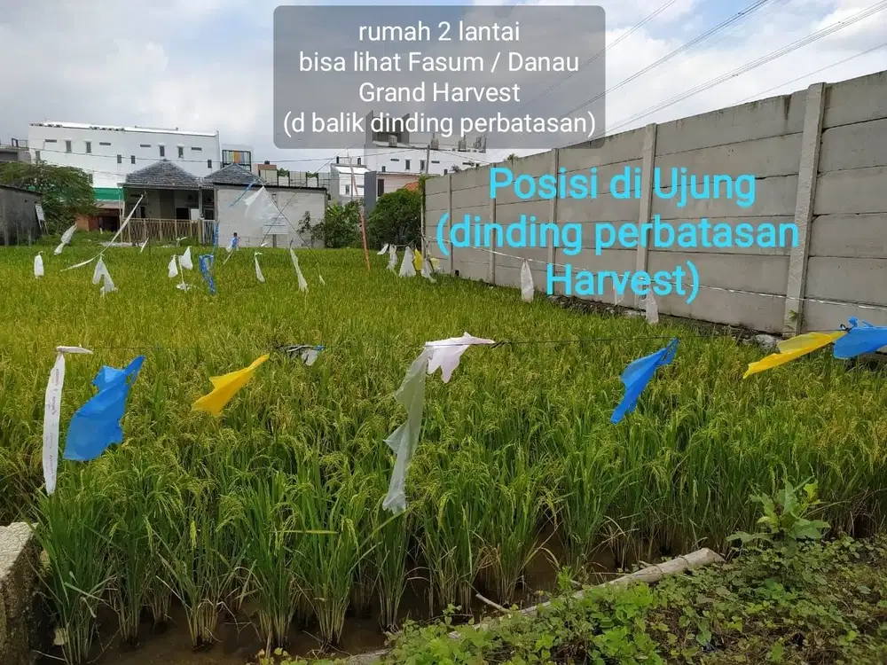 underprice Tanah Surabaya Dijual Murah dk Kebraon Wiyung Gunungsari