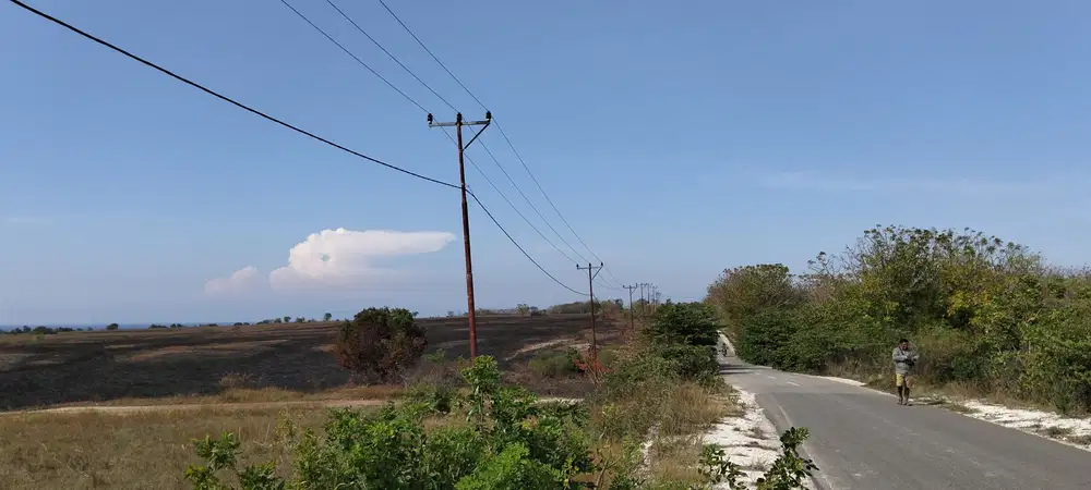 Dijual Murah Tanah Pertanian